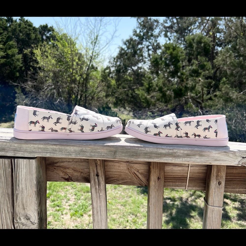 Toms Zebra Print canvas Shoes